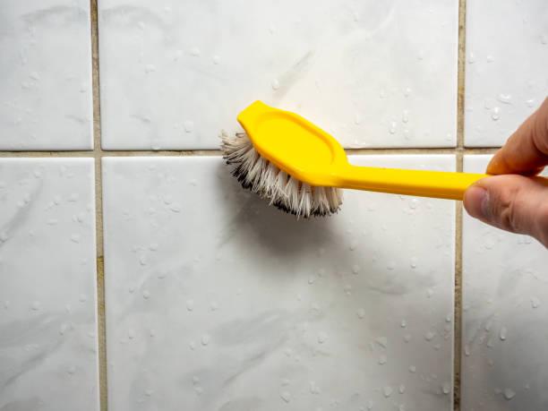 Best Water Damage Restoration  in Neodesha, KS