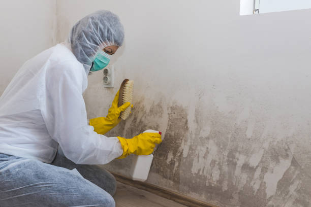 Best Emergency Mold Removal  in Neodesha, KS
