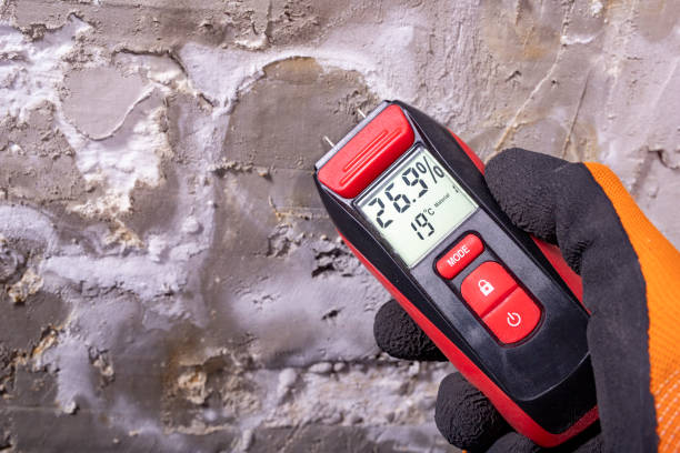 Mold Removal and Inspection in Neodesha, KS