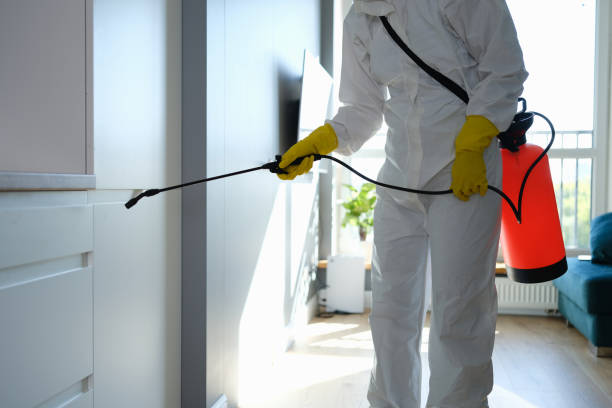 Best Home Mold Removal  in Neodesha, KS