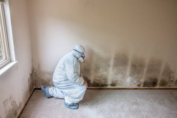 Best Commercial Mold Removal  in Neodesha, KS