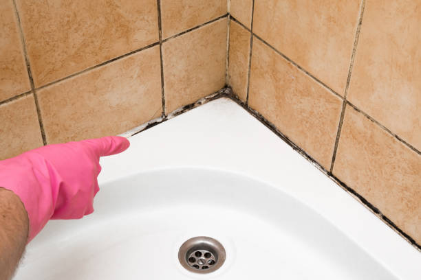 Best Mold Testing  in Neodesha, KS